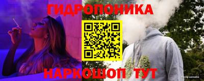 крисы Бузулук